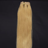 Customize 20inch 100g Human Hair Extensions Weft Silky Straight